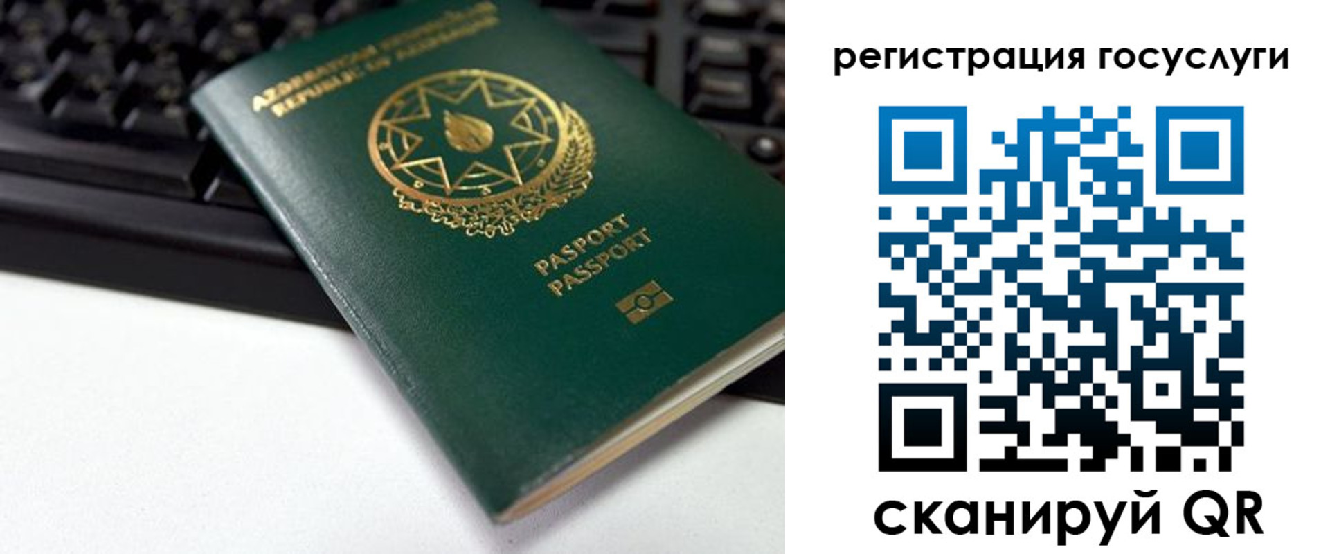 прописка законно в Александровске